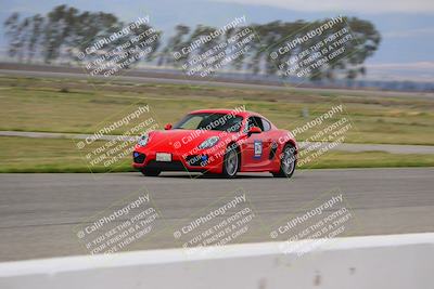 media/Mar-30-2025-Speed Ventures (Sun) [[39e6b1441d]]/Purple/Front Straight/